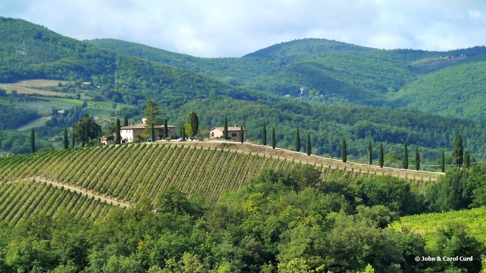 P1030192 Chianti 169.JPG